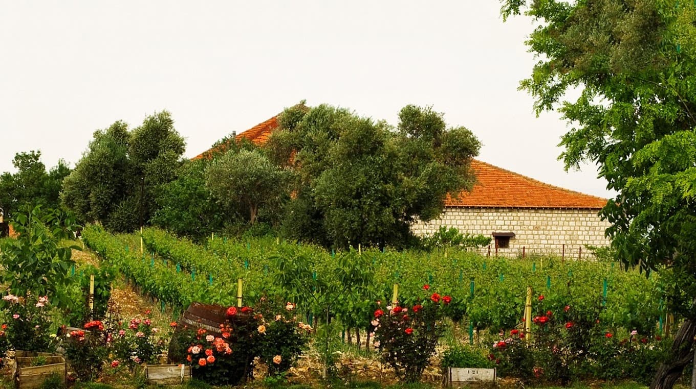 Domaine Des Tourelles, Jdita